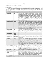 Đại Cương Về Thiết Kế Web Và Lập Trình Web- P5 potx