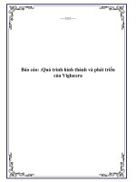 Báo cáo: :Quá trình hình thành và phát triển của Viglacera docx
