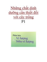 Những chất dinh dưỡng cần thiết đối với cây trồng P1 pps
