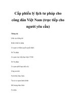 Cấp phiếu lý lịch tư pháp cho công dân Việt Nam (trực tiếp cho người yêu cầu) pptx