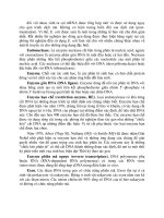 Hộp Điện Trong Công Nghệ DNA part 3 potx