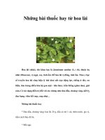 Những bài thuốc hay từ hoa lài pdf