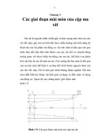 nghiêng cứu thông số tính năng và đặc điểm hao mòn trước sử dụng Xado của động cơ Diezen D12, chương 7 pot