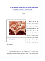 Trị khô da, làm ẩm da, sáng da, trẻ hóa da...bằng “Điện chuyển Ion GAMMA (γ) POLYGLUTAMIC ACID” (Kỳ 1) docx