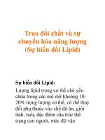 Trao đổi chất và sự chuyển hóa năng lượng (Sự biến đổi Lipid) pdf