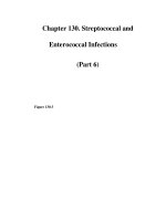 Chapter 130. Streptococcal and Enterococcal Infections (Part 6) pps