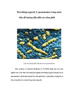 Tìm kháng nguyên S. pneumoniae trong nước tiểu để hướng dẫn điều trị viêm phổi docx