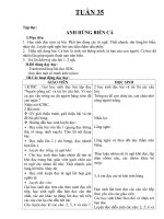 GIÁO ÁN L1 TUẦN 35 CKTKN: 2 BUỎI