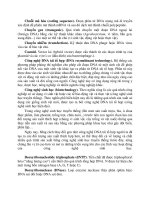 Hộp Điện Trong Công Nghệ DNA part 2 ppt