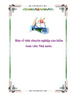 Bàn về tính chuyên nghiệp của kiểm toán viên Nhà nước. pps