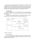 Hộp Điện Trong Công Nghệ DNA part 9 ppsx