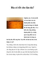 Bia có tốt cho làn da? docx