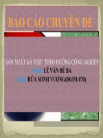 Báo cáo: sản xuất gà thịt theo hướng công nghiệp ppt
