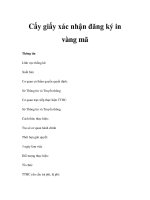 Cấy giấy xác nhận đăng ký in vàng mã Thông tin Lĩnh vực thống kê: Xuất bản pdf