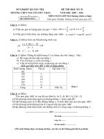 Đề thi HK II môn TOÁN 10 cb (2009-2010)