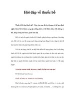 Hỏi đáp về thuốc bổ pot