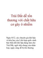Trái Đất dễ tổn thương với chất hữu cơ gây ô nhiễm potx