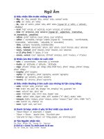 Ngữ âm Tổng Hợp (hay)