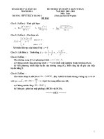 de+dap an hk2 khoi 11 coban