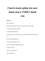 Chuyển doanh nghiệp nhà nước thành công ty TNHH 1 thành viên pps