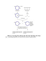 Hộp Điện Trong Công Nghệ DNA part 21 pot