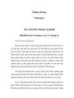 Châm cứu học - Chương 6 docx