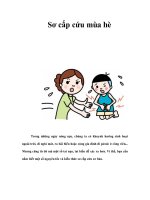 Sơ cấp cứu mùa hè ppsx