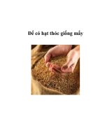 Để có hạt thóc giống mẩy doc