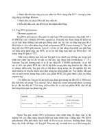 Hộp Điện Trong Công Nghệ DNA part 8 pot