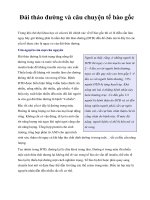 Đái tháo đường và câu chuyện tế bào gốc pot