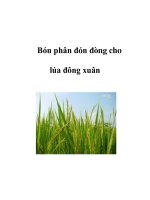 Bón phân đón đòng cho lúa đông xuân doc