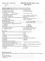 KIEM TRA HOĂ 8 KI II