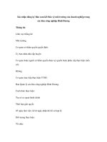 Xác nhận đăng ký Bản cam kết Bảo vệ môi trường của doanh nghiệp trong các khu công nghiệp Bình Dương ppsx