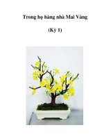 Trong họ hàng nhà Mai Vàng (Kỳ 1) ppsx