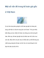 Một số vấn đề trong kế toán giá gốc ở Việt Nam docx