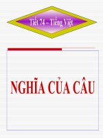 bài giảng nghĩa của câu
