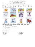 Bài kiểm tra cuối HK II