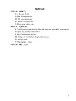 Sáng kiến năm 2009 - 2010 : Hóa học