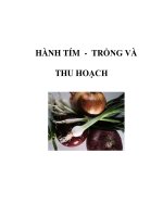 HÀNH TÍM - TRỒNG VÀ THU HOẠCH pptx