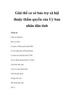 Giải thể cơ sở bảo trợ xã hội thuộc thẩm quyền của Uỷ ban nhân dân tỉnh pptx