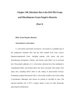 Chapter 140. Infections Due to the HACEK Group and Miscellaneous Gram-Negative Bacteria (Part 3) pot
