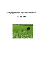 Sử dụng phân bón hiệu quả cho sản xuất lúa ĐX 2008 ppsx