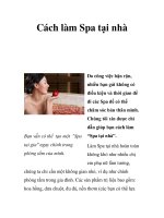 Cách làm Spa tại nhà ppt