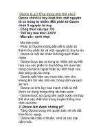 Ozone là gì? Ứng dụng như thế nào?· docx