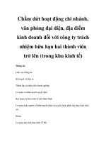 Chấm dứt hoạt động chi nhánh, văn phòng đại diện, địa điểm kinh doanh đối với công ty trách nhiệm hữu hạn hai thành viên trở lên (trong khu kinh tế) pptx