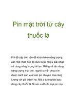 Pin mặt trời từ cây thuốc lá pdf