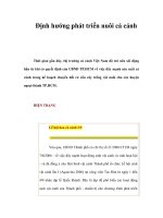 Định hướng phát triển nuôi cá cảnh ppt