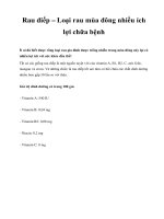 Rau diếp – Loại rau mùa đông nhiều ích lợi chữa bệnh pot