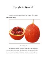 Hạt gấc trị bệnh trĩ pps