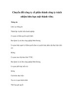 Chuyển đổi công ty cổ phần thành công ty trách nhiệm hữu hạn một thành viên pptx